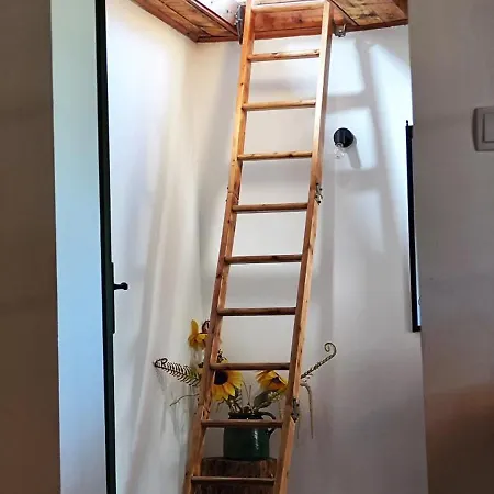 Hébergement de vacances Mali Raj