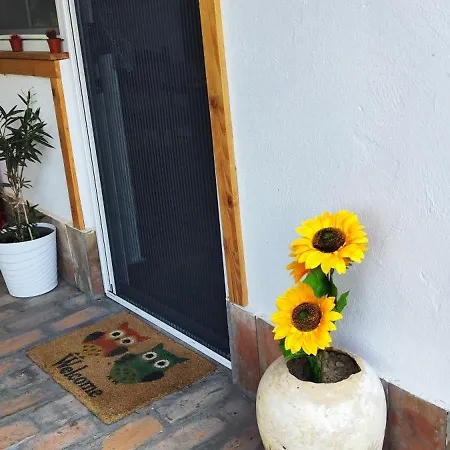 Hébergement de vacances Mali Raj *